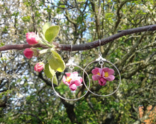 Charger l'image dans la galerie, boucles d'oreilles fleurs de pommier fimo et argent