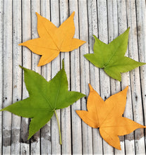Charger l'image dans la galerie, Broche feuille de Liquidambar jaune doré
