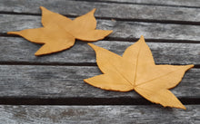 Charger l'image dans la galerie, Broche feuille de Liquidambar jaune doré