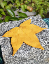 Charger l'image dans la galerie, Broche feuille de Liquidambar jaune doré