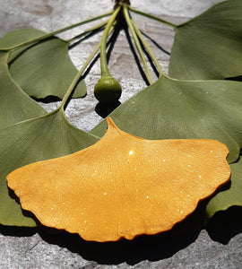 Broches empreinte de feuilles Gingko Biloba