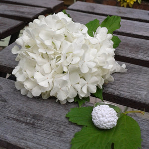 bague hortensia Blanc comme neige